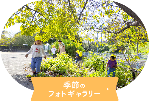 季節のフォトギャラリー